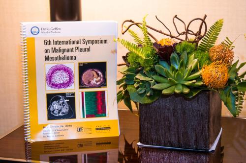 The International Symposium on Malignant Pleural Mesothelioma 2016